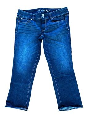American Eagle Artist Crop Jeans
